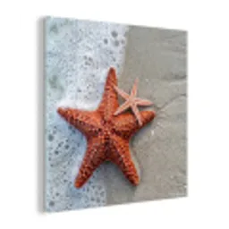 Zeester - Strand - Zee plexiglas 5mm klein -z3d