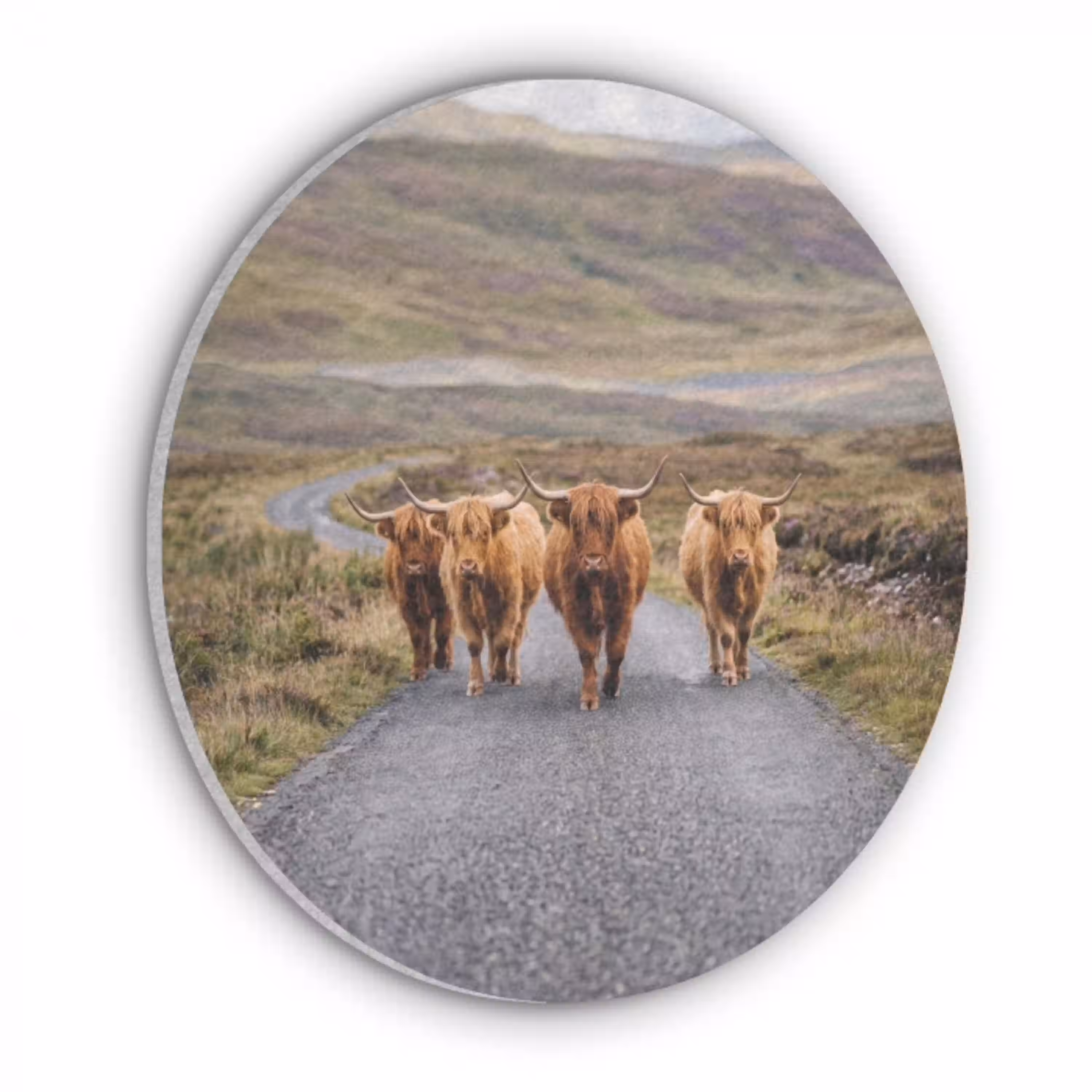 Schotse Hooglanders - Weg - Landschap - Kudde Akoestische PET Vilt - Rond klein -3d