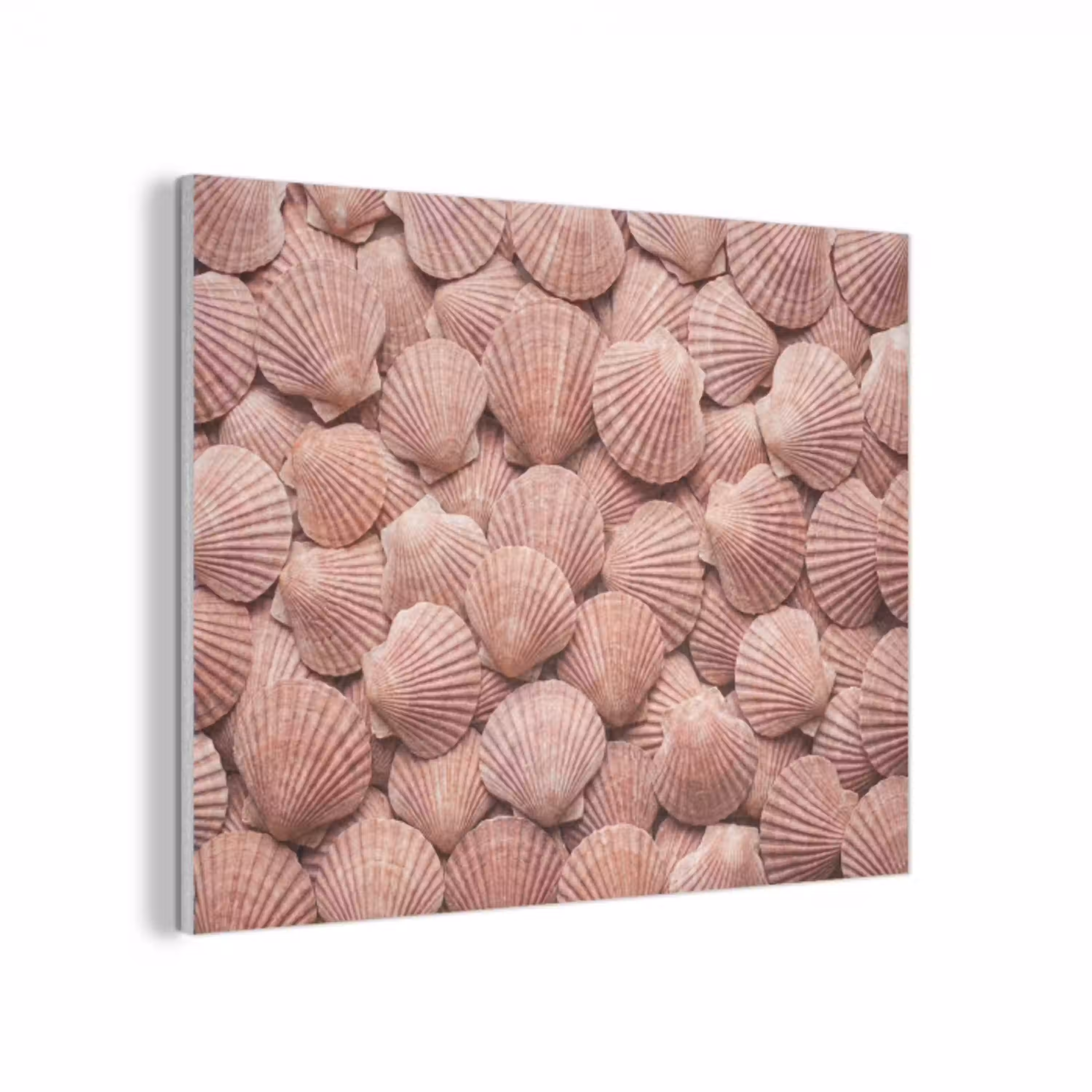 Schelpen - Patroon - Roze PET vilt klein -3d