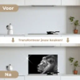 Leeuw tegen zwarte achtergrond in zwart-wit keuken achterwand spatscherm klein -voor_na_NL