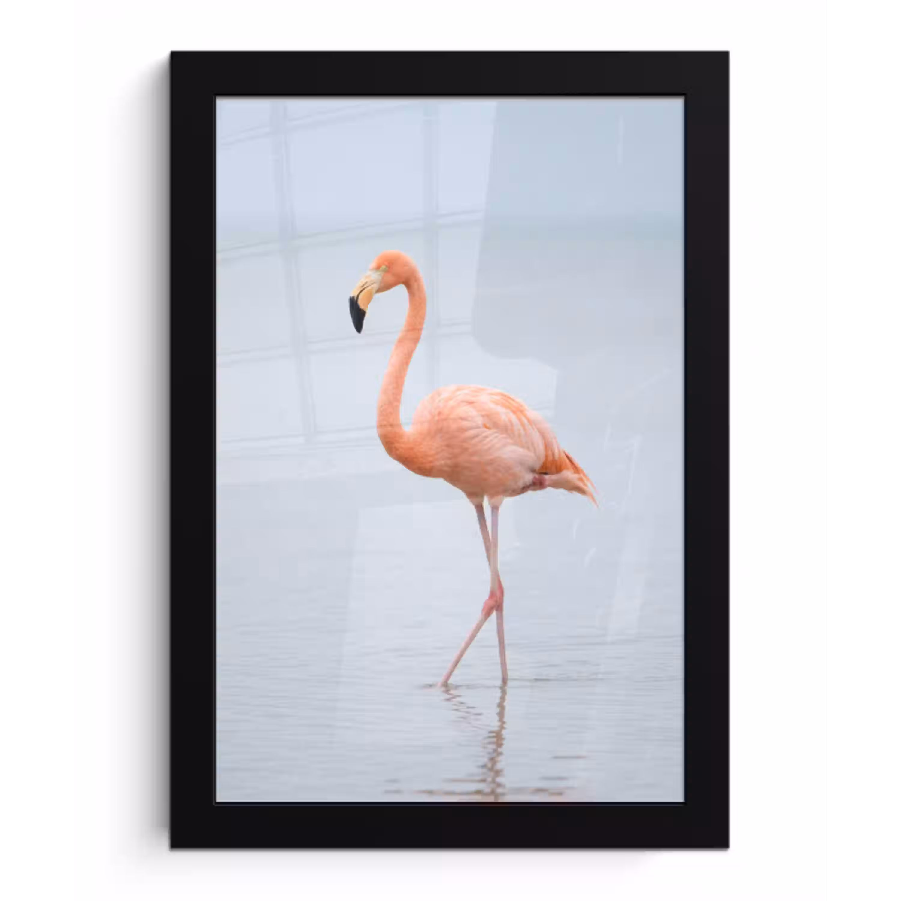Flamingo - Zee - Roze fotolijst zwart zonder passe partout klein -3d