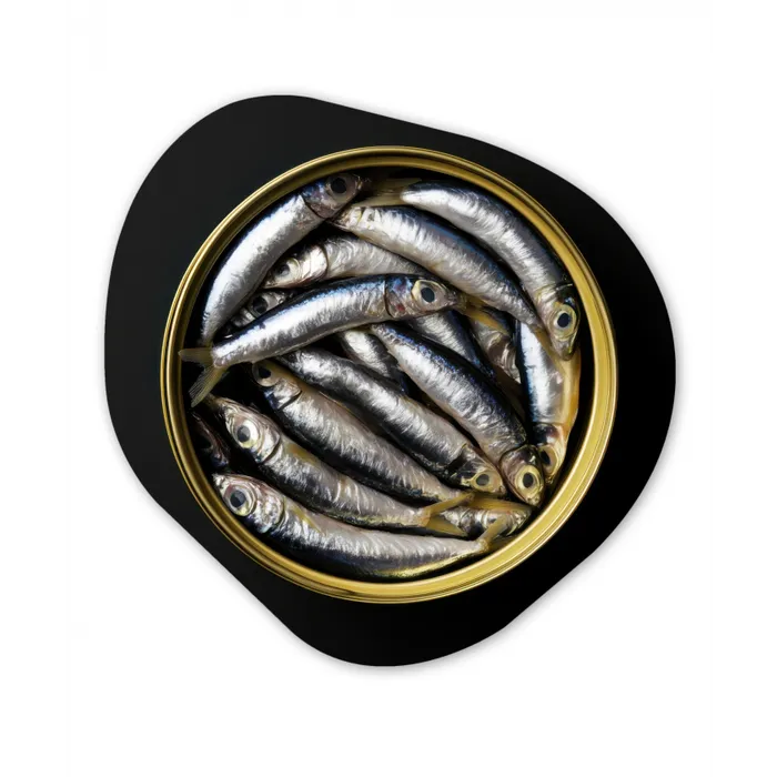 Sardines - Vissen - Rond - Zwart Wandcirkel Organisch Aluminium middel -3d