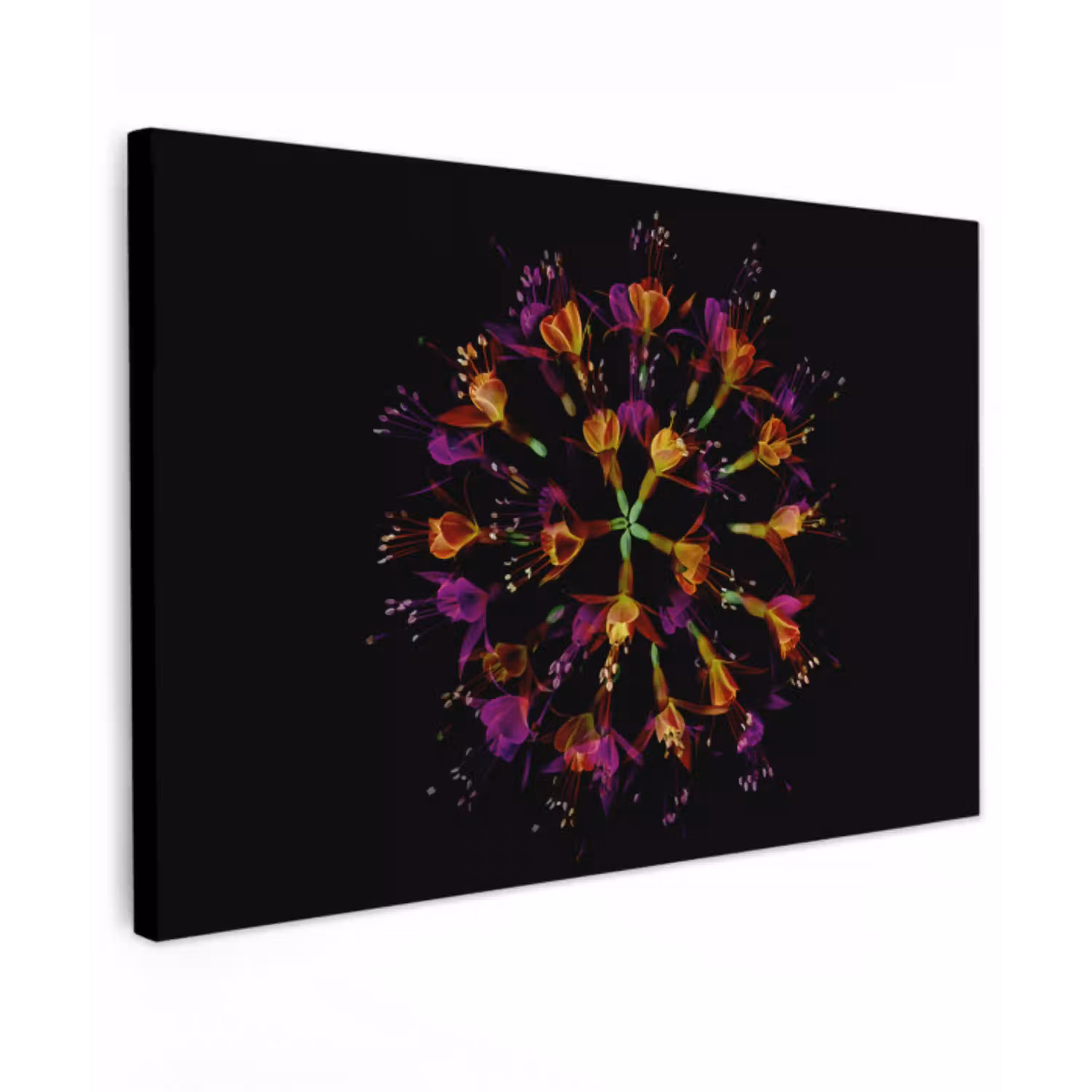 Bloemen - Oranje - Roze - Zwart Tuinposter op houten frame 2 cm dik klein -3d