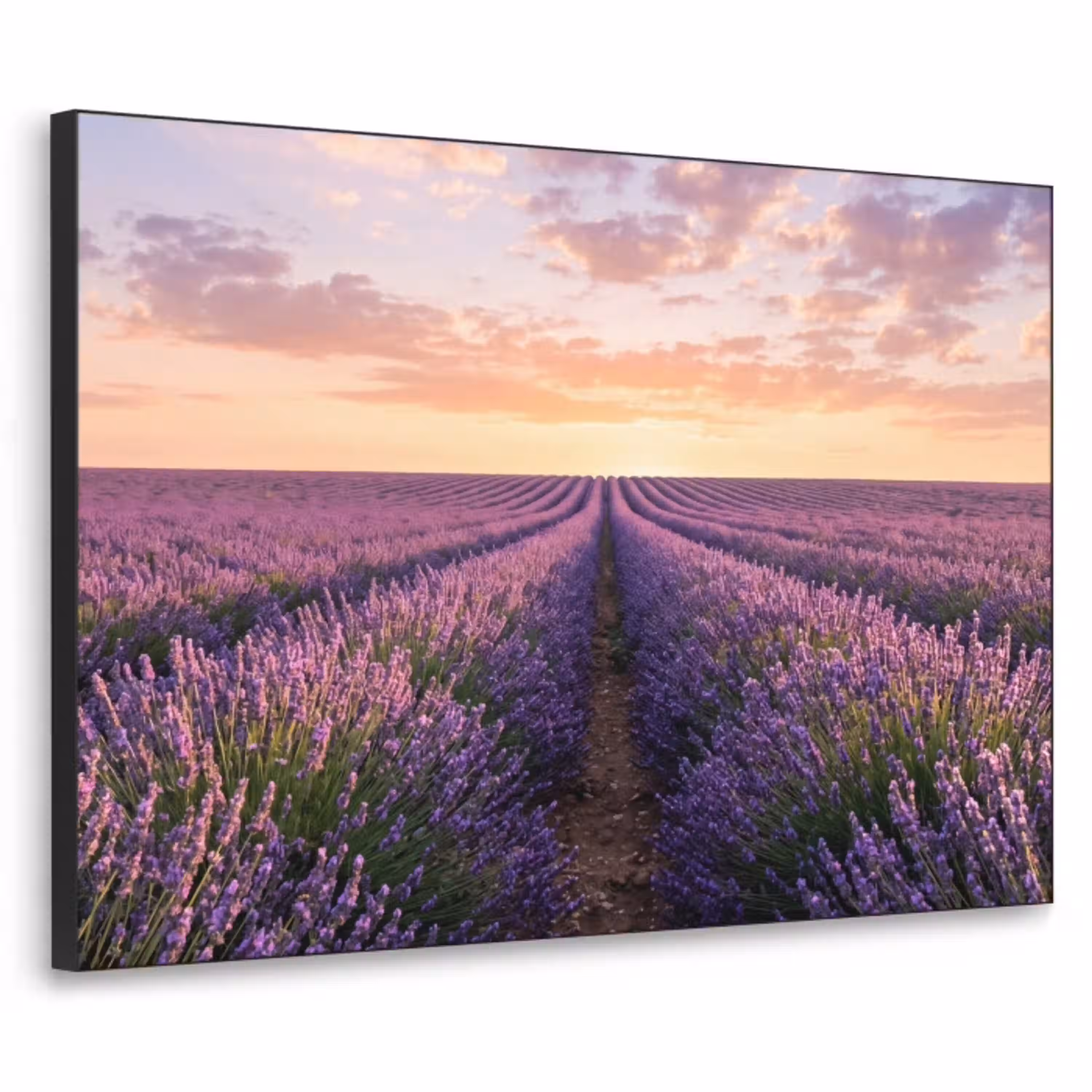 Landschap - Lavendelveld - Paars Textielframe zwart klein -3d