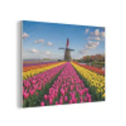 Tulpen - Holland - Molen - Kleurrijk PET vilt klein -3d