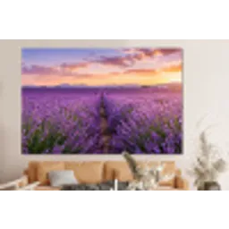 Lavendel - Veld - Natuur - Paars forex 5mm xxl -bovenbank