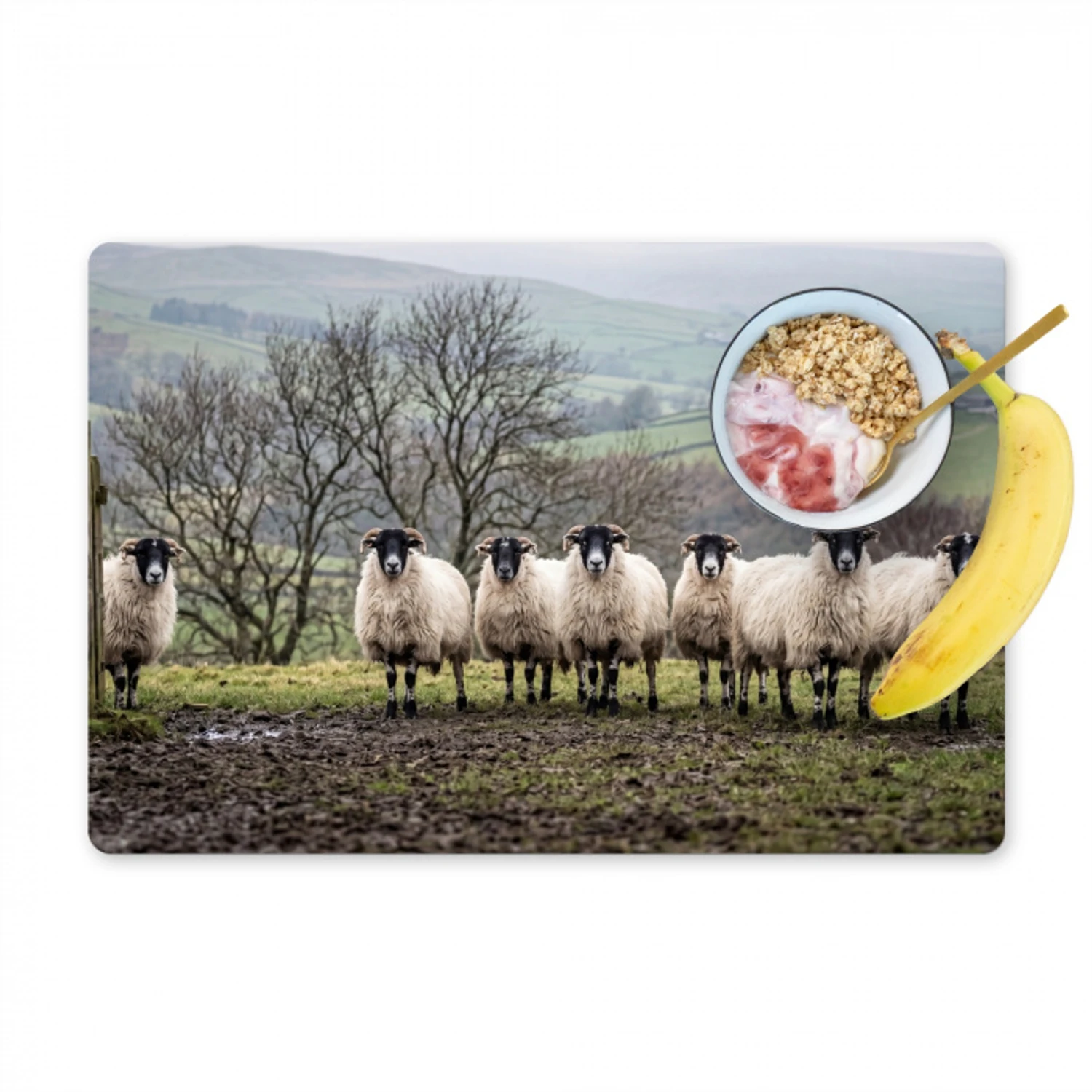 Schapen - Rij - Weide - Dieren - Platteland Placemat vinyl groot -zzzproduct_Kitchenyeah-website