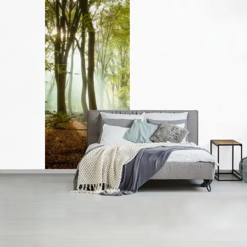 Bos - Zon - Seizoenen - Landschap fotobehang vinyl groot -slaapkamer