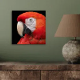 Ara - Portret - Rood aluminium wit klein -sfeer2