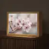 Bloesems - Meeldraden - Geel - Wazig Light Box met kabel (Tafellamp) klein -z3d_website