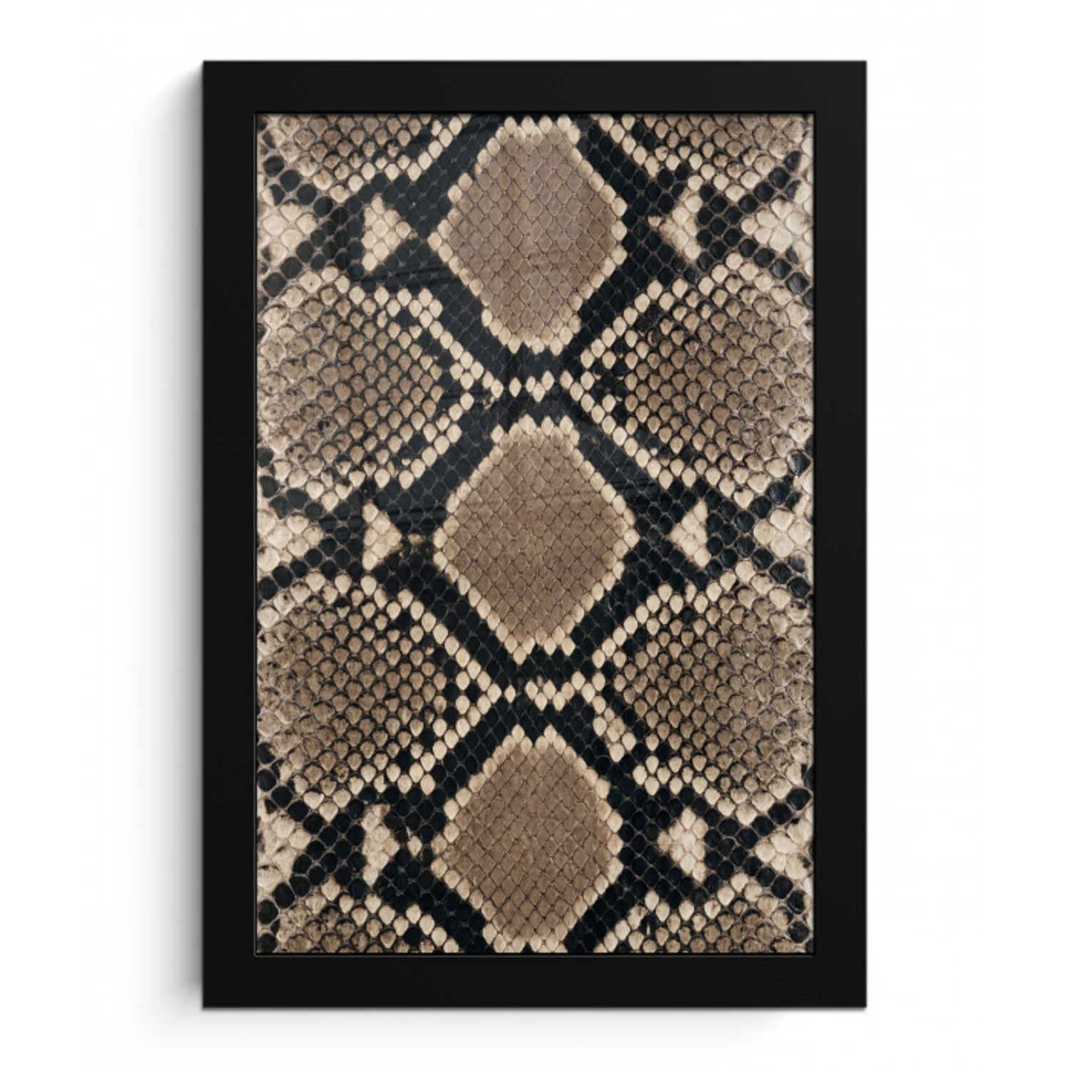 Slangenprint - Python - Bruin fotolijst zwart zonder passe partout klein -3d