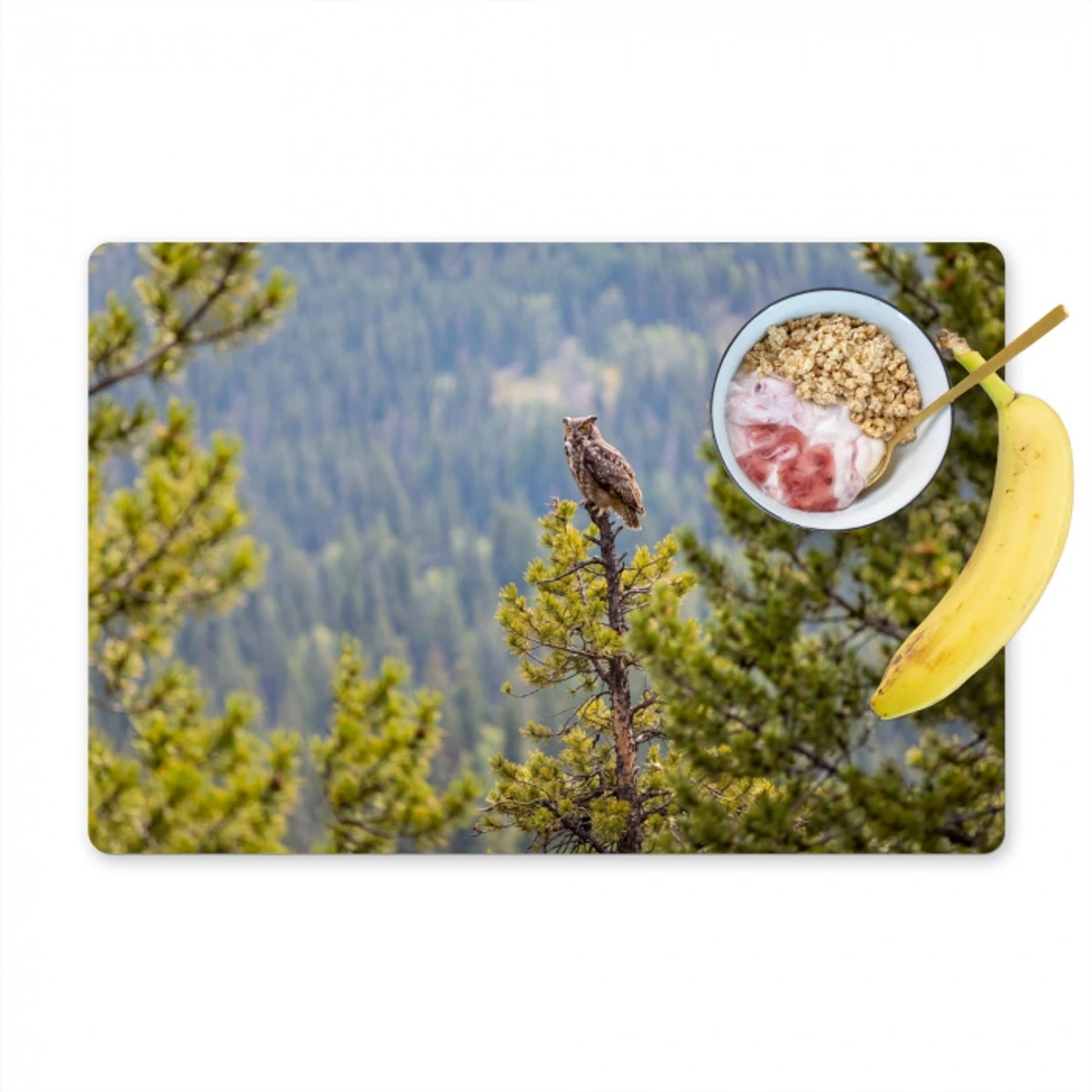 Uil - Oehoe - Bomen - Natuur Placemat vinyl groot -zzzproduct_Kitchenyeah-website