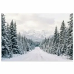 Weg - Sneeuw - Naaldbos - Winter - Avontuurlijk poster papier klein -3d