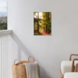 Mossig bospad tuinposter los doek klein -sfeer8