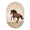 Paard - Galop - Energie Wandcirkel Ovaal Aluminium middel -3d