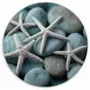 Zeesterren - Stenen - Wit Wandcirkel plexiglas klein -3d