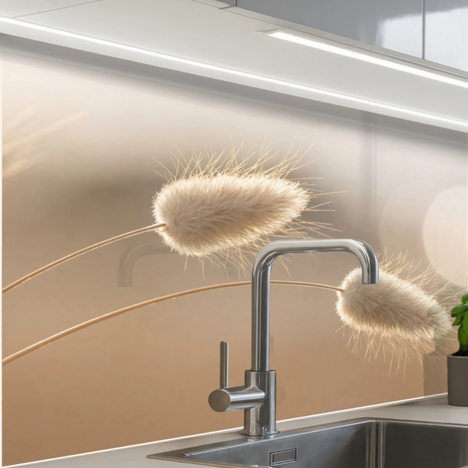 Hazestaartgras - Graanharen - Zonlicht keuken achterwand 2 middel -zzzz3d_schuin