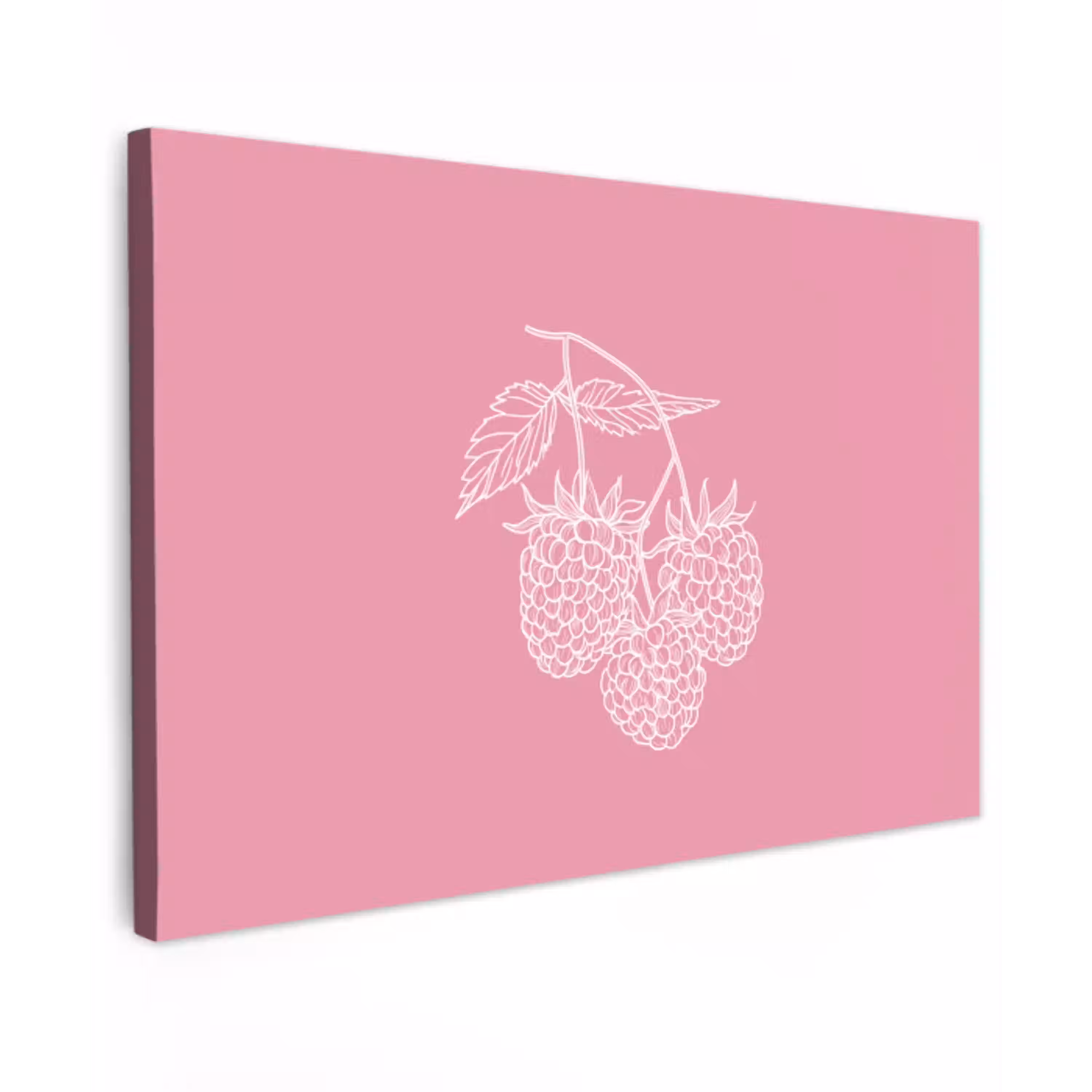 Frambozen - Steel - Getekend - Roze Tuinposter op houten frame 2 cm dik klein -3d