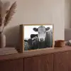 Koeien - Zwart - Wit Light Box met batterij (Wandlamp) middel -sfeer2
