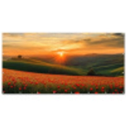 Klaprozen - Bloemen - Heuvels - Zonsondergang Balkonbeschermer Duitsland klein -zz_3d