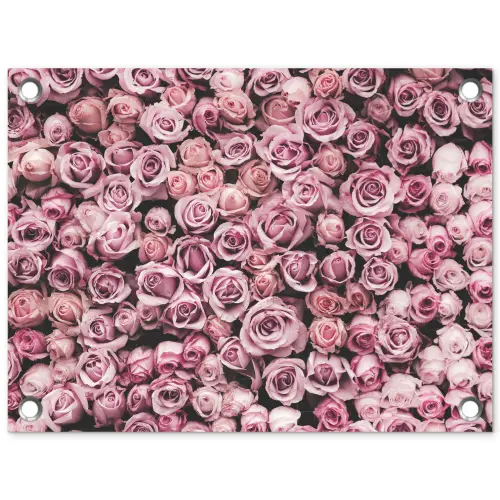Bloemen - Rozen - Natuur - Roze - Botanisch tuinposter los doek klein -3d