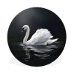 Zwaan - Water - Natuur - Realistisch - Wit Wandcirkel aluminium klein -3d