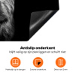 Schotse Hooglander - Horens - Zwart - Wit - Koe - Wild - Dieren Inductie beschermer vinyl 3mm klein -zzzzzzz-td-onderkant