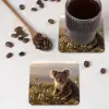 Koala - Bladeren - Ochtendlicht onderzetter kurk middel -sfeer2