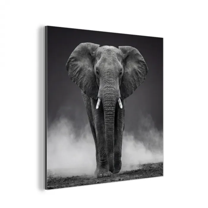 Olifant - Zwart - Wit - Rook aluminium wit klein -3d