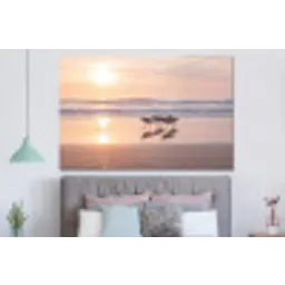 Zee - Vogels - Strand forex 5mm xxl -slaapkamer
