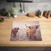 Schotse hooglanders - Licht - Lucht - Natuur Inductie beschermer vinyl 3mm middel -sfeer5