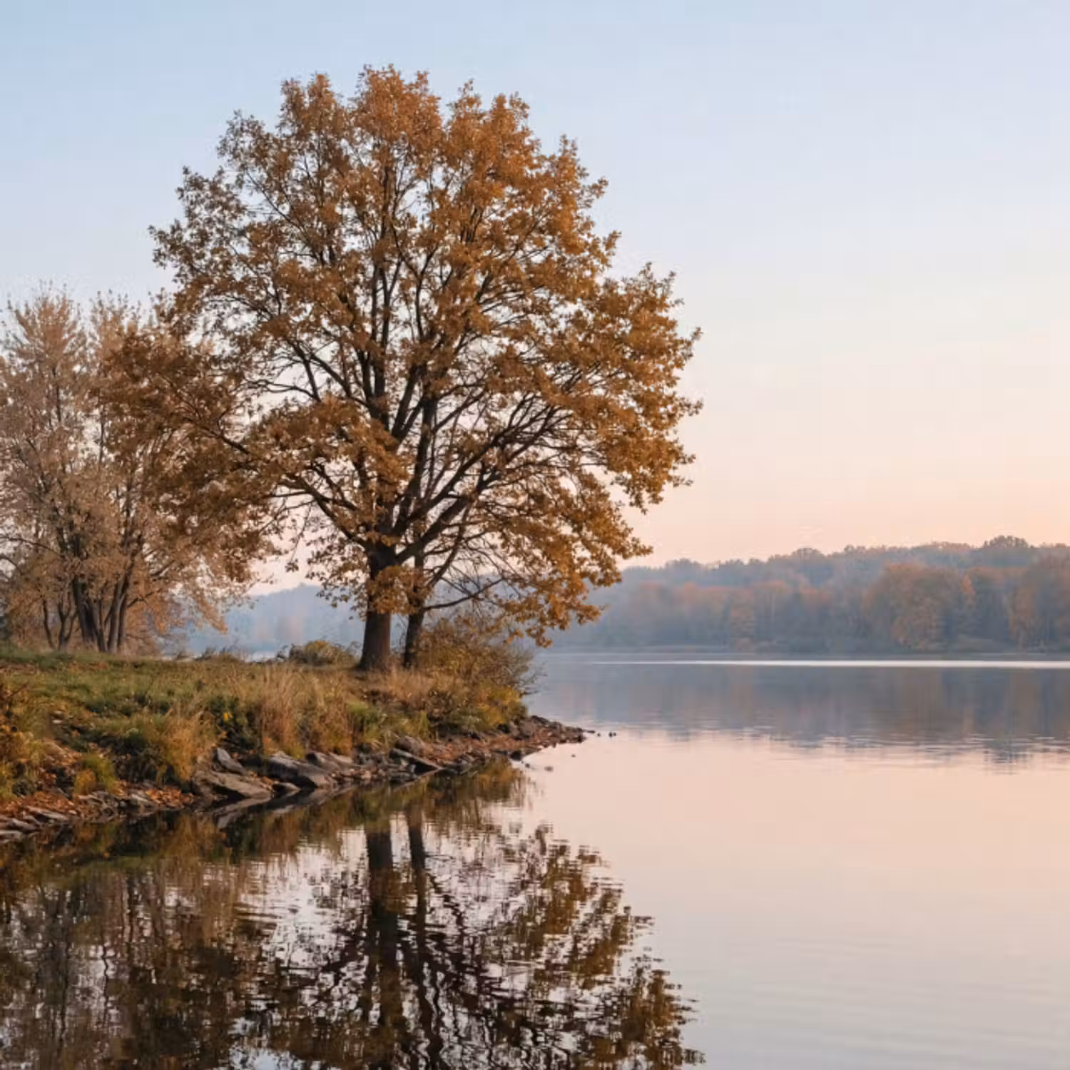 Tapete - Bäume - Reflexion - Wasser - Sonnenaufgang - Gelassenheit