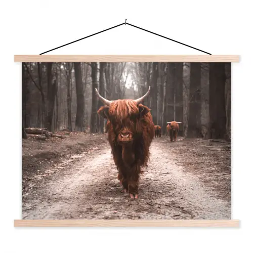Schotse hooglander - Bos - Koe - Dieren - Natuur textielposter latten blank klein -3d