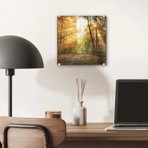 Bos - Herfst - Zon - Landschap - Natuur - Bomen - Bladeren plexiglas 5mm klein -sfeer6