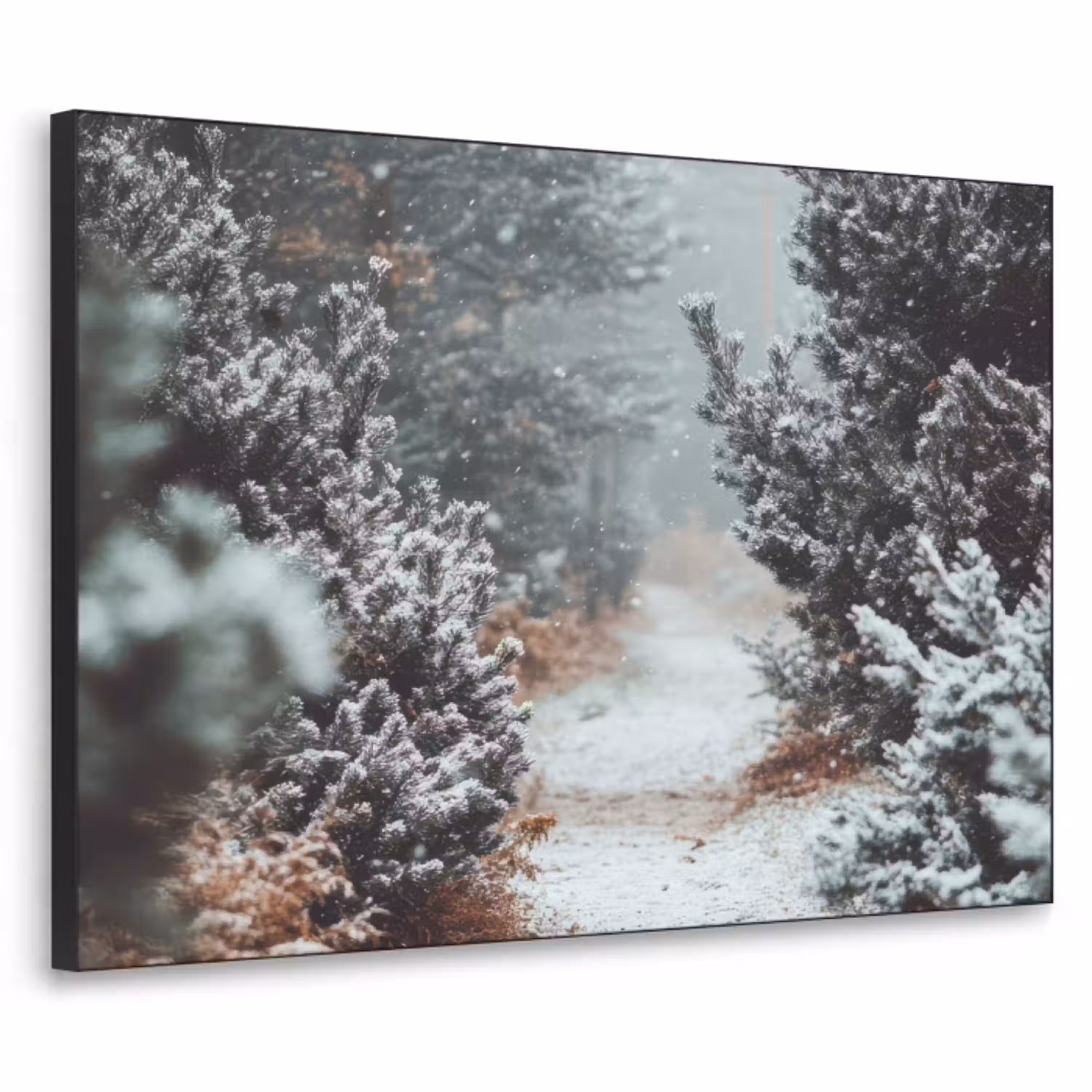 Bos - Winter - Bomen - Natuur - Pad - Sneeuw Textielframe - compleet frame klein -3d