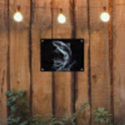 Vis - Koi - Zwart - Water tuinposter los doek klein -sfeer1