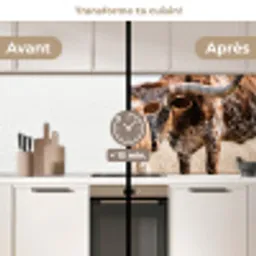 Texas Longhorn - Kalf - Weide - Dieren keuken achterwand 2 middel -voor-na2_FR