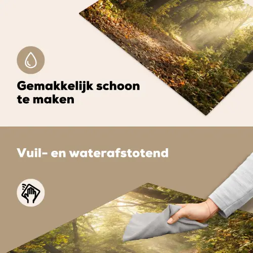 Zonlicht - Bospad - Bomen Inductie beschemer met haakjes klein -ky-schoon-nl