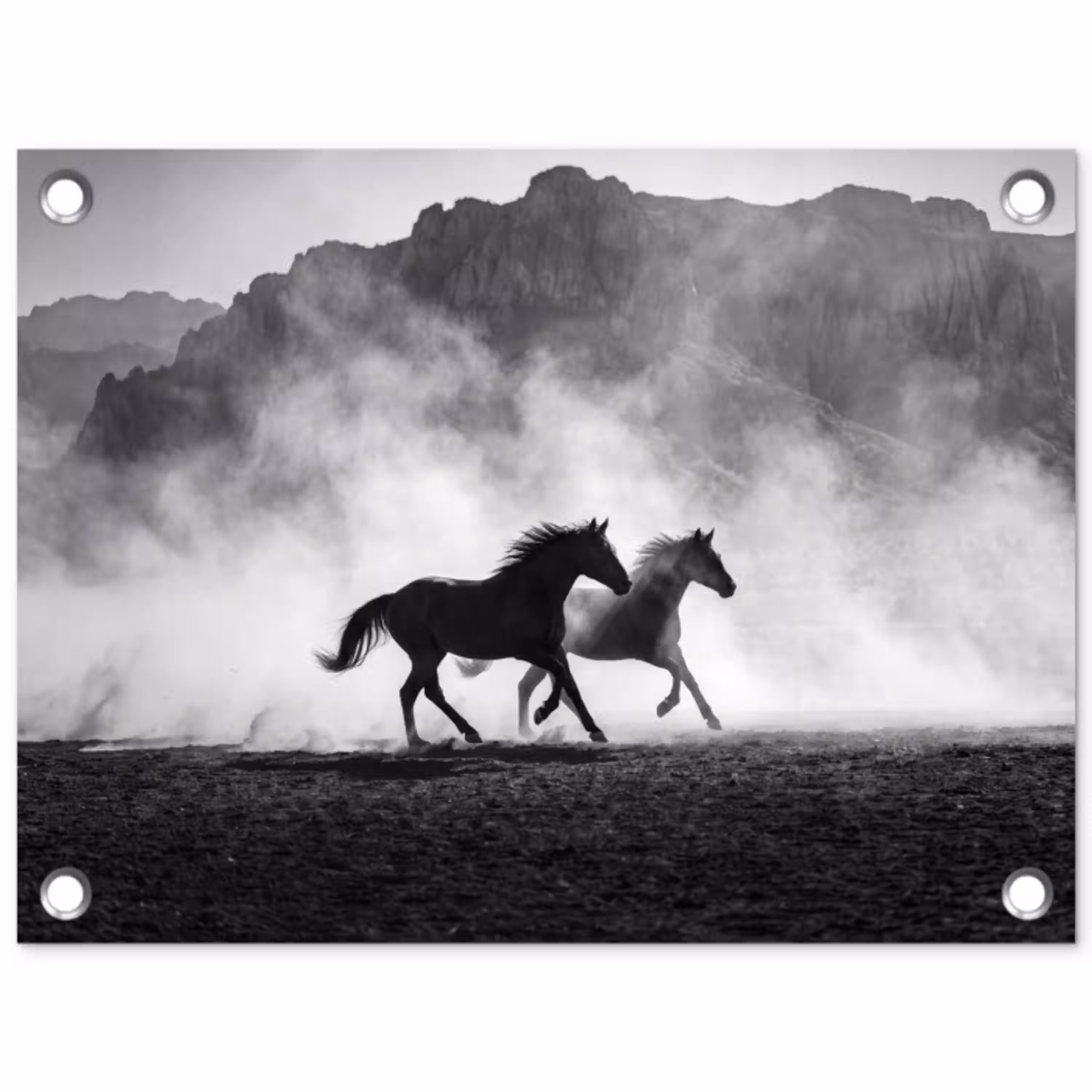 Paard - Ren - Stof - Zwart-wit - Dieren tuinposter los doek klein -3d