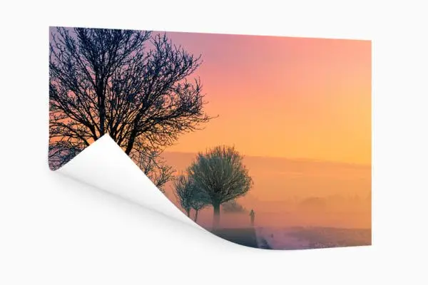 Tuinposter Natuur Zonsopkomst