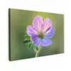 Bloem - Close up - Paars Tuinposter op houten frame 2 cm dik klein -3d