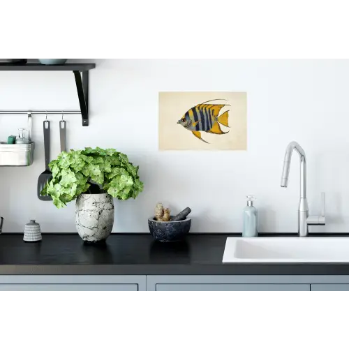 Vis - Sierlijk - Vinnen - Illustratie Muursticker klein -keuken