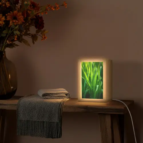 Grassprieten - Lichtinval - Groen Light Box met kabel (Tafellamp) klein -sfeer4