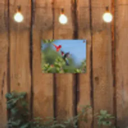 Kolibrie - Bloem - Natuur - Groen tuinposter los doek klein -sfeer1