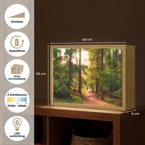 Bos - Pad - Bomen - Groen - Zon - Natuur Light Box met batterij (Wandlamp) middel -USP_websiteoverzichtNL