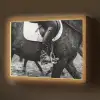 Paard - Sport - Zwart - Wit Light Box met batterij (Wandlamp) middel -z3d_website
