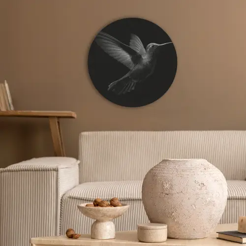 Kolibrie - Zwart - Dieren Akoestische PET Vilt - Rond klein -sfeer1