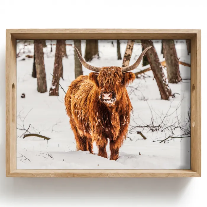 Schotse Hooglander - Sneeuw - Winter - Natuur - Dieren Dienblad Rechthoek middel -z3d_shopping