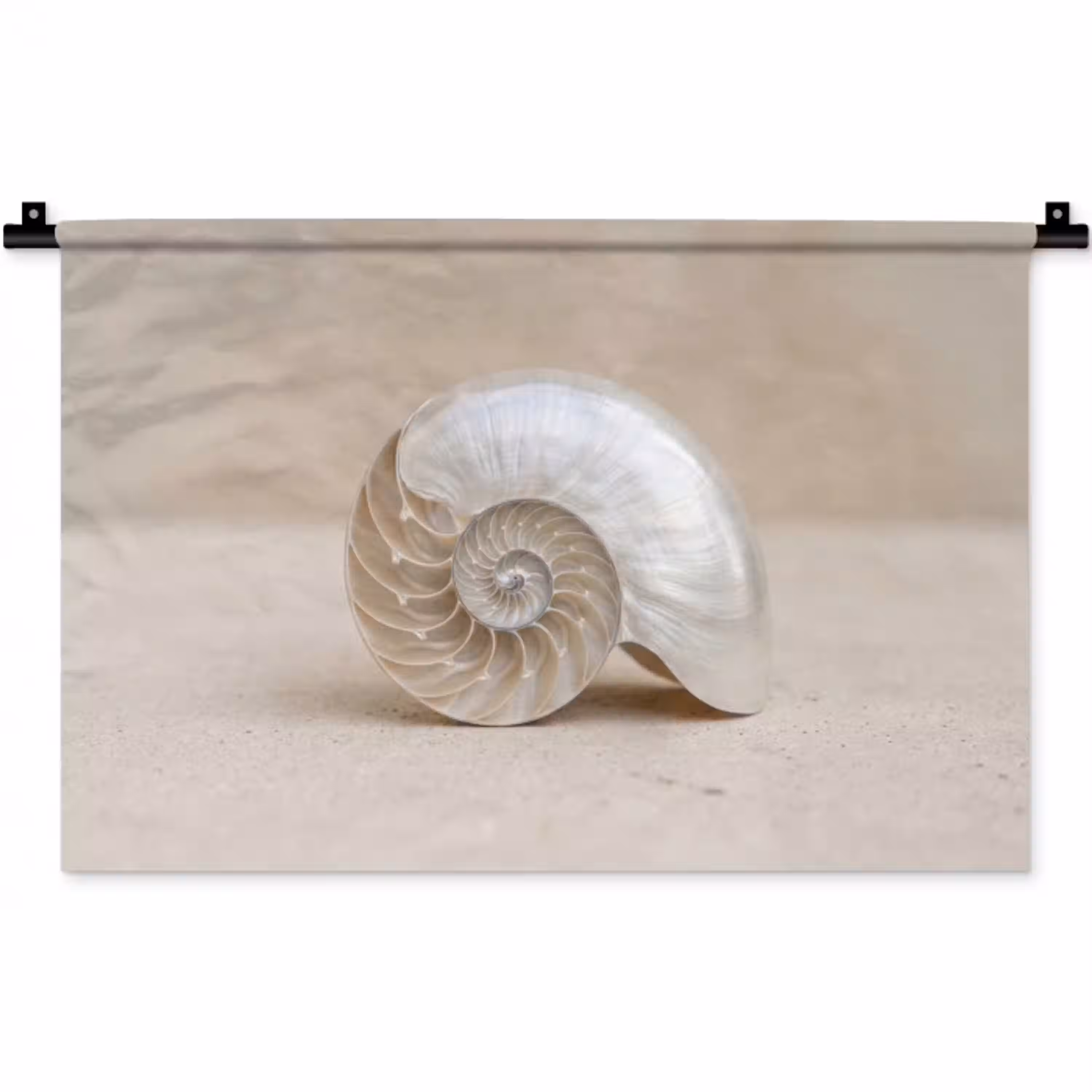 Schelp - Spiraal - Beige Wandkleed katoen klein -zz3d