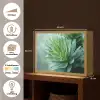 Blad - Plant - Groen - Textuur Light Box met batterij (Wandlamp) middel -USP_websiteoverzichtNL